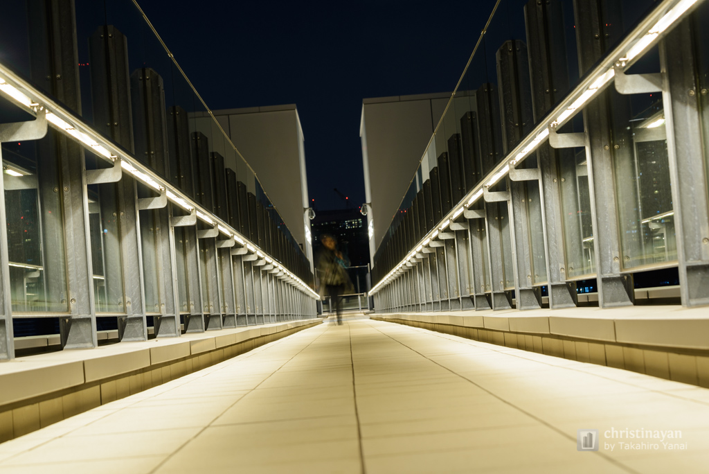 Rooftop garden of Toyosu Market (豊洲市場)