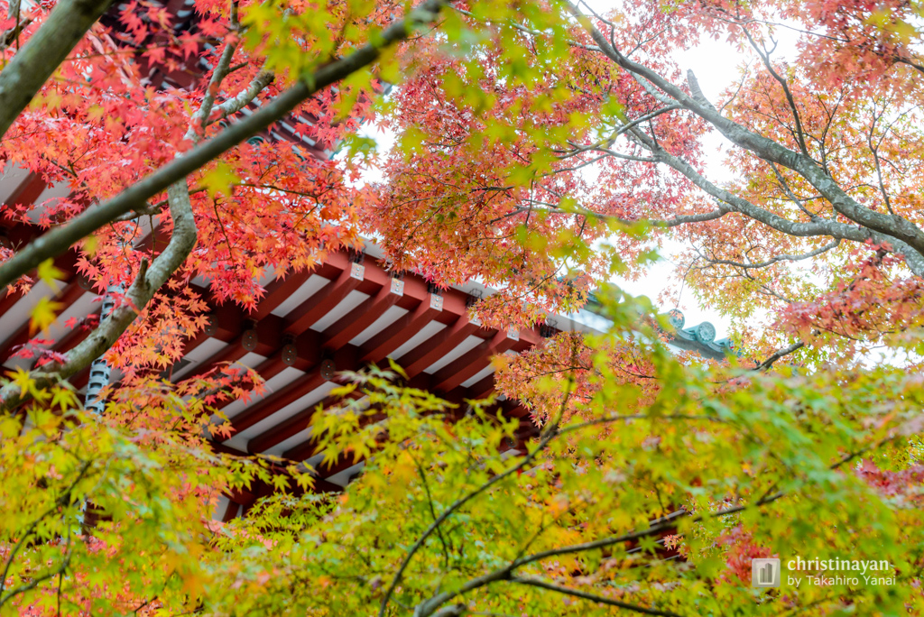 Details of Naritasan Shinsho-ji Temple, Heiwano Daito (成田山新勝寺　平和大塔)