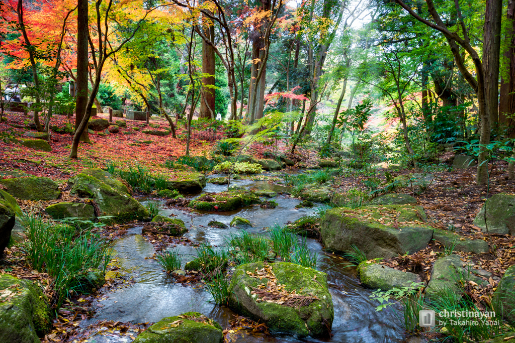 Naritasan Park in Naritasan Shinsho-ji Temple, Heiwano Daito (成田山新勝寺　成田山公園)