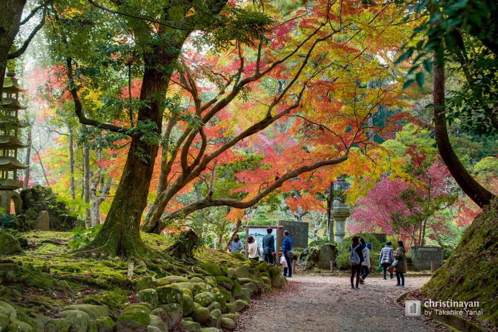 Naritasan Park in Naritasan Shinsho-ji Temple, Heiwano Daito (成田山新勝寺　成田山公園)