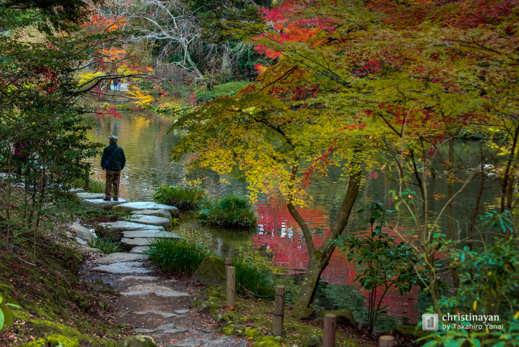 Naritasan Park in Naritasan Shinsho-ji Temple, Heiwano Daito (成田山新勝寺 成田山公園)