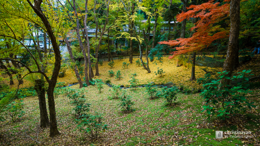 Naritasan Park in Naritasan Shinsho-ji Temple, Heiwano Daito (成田山新勝寺　成田山公園)