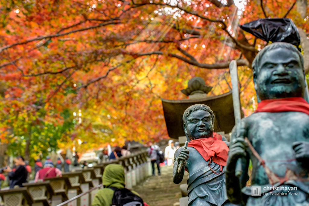 Steps in Ohyamadeta Temple (雨降山 大山寺)