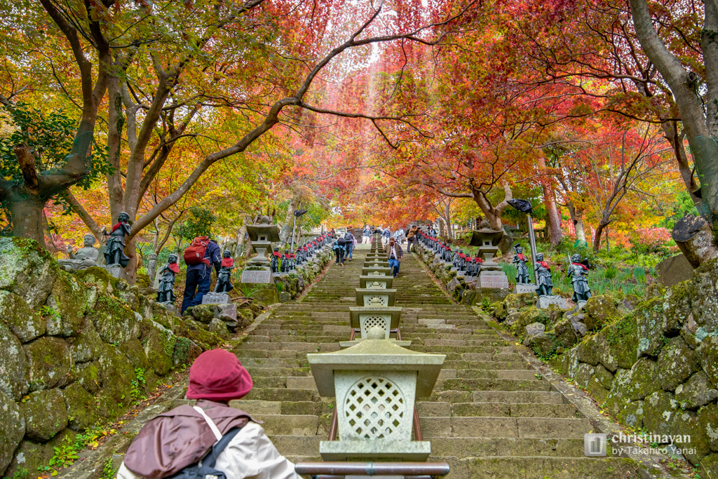 Steps in Ohyamadeta Temple (雨降山 大山寺)