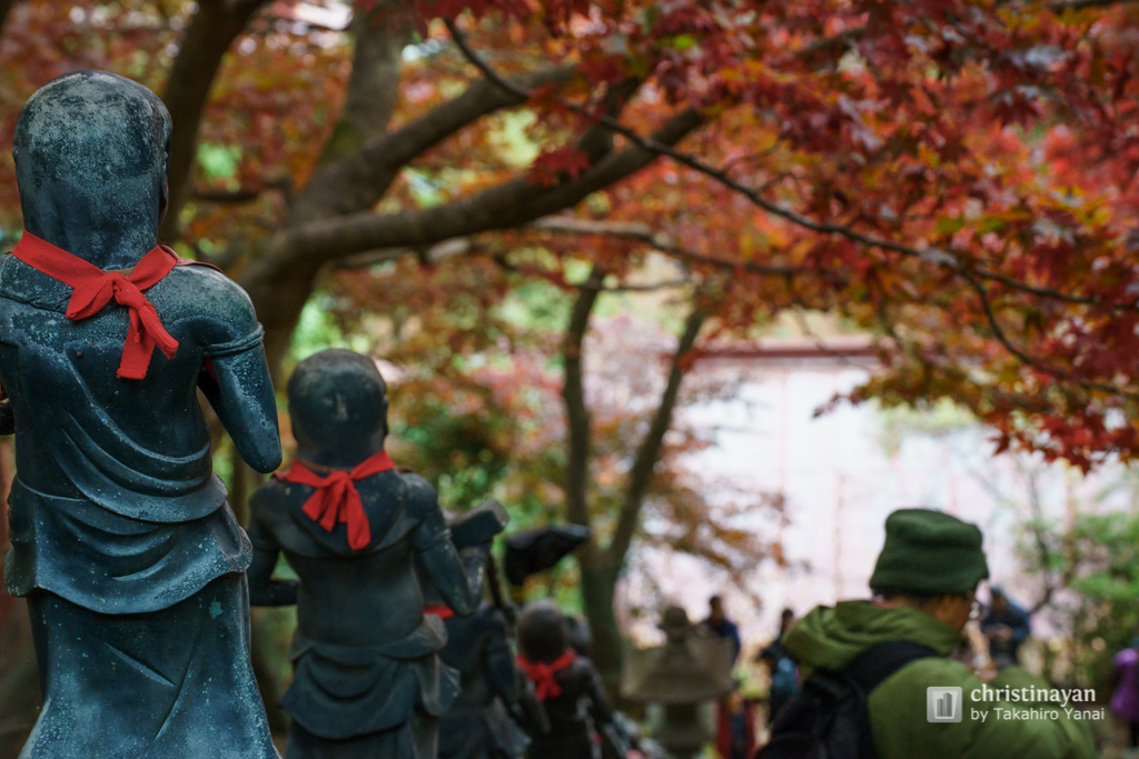 Steps in Ohyamadeta Temple (雨降山 大山寺)