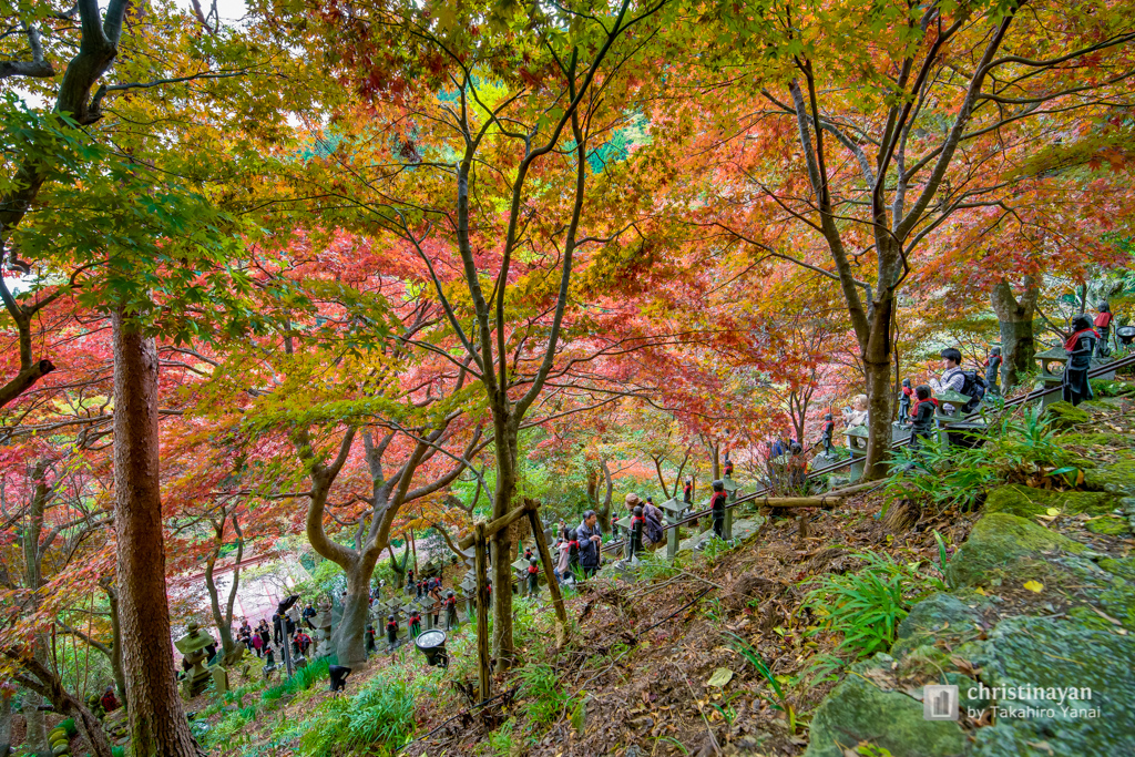 Steps in Ohyamadeta Temple (雨降山 大山寺)