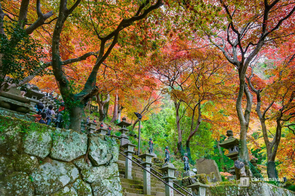 Steps in Ohyamadeta Temple (雨降山 大山寺)