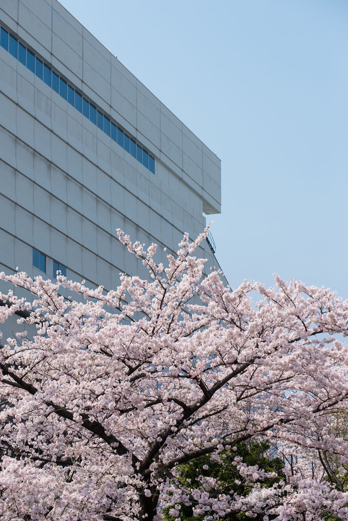 Details of Edo-Tokyo Museum (江戸東京博物館)