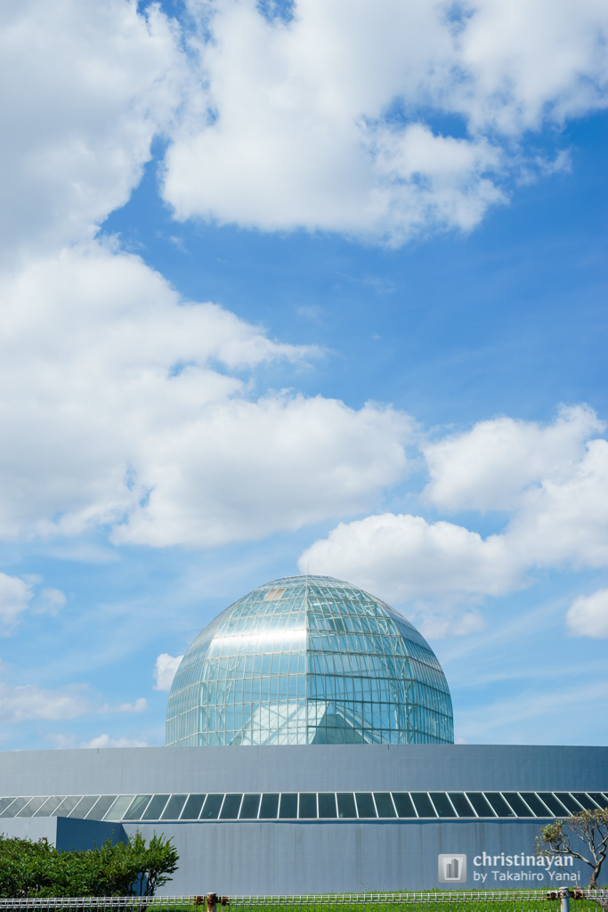 Details of Tokyo Sea Life Park (葛西臨海水族館)