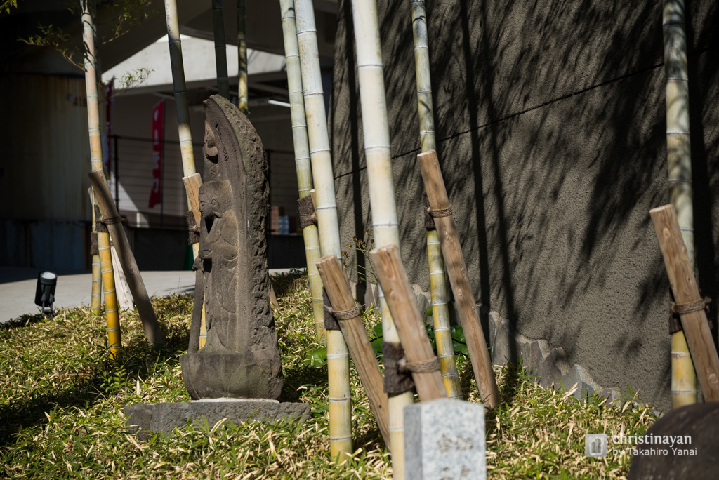 Full view of Ichigyoin (一行院 千日谷淨苑)