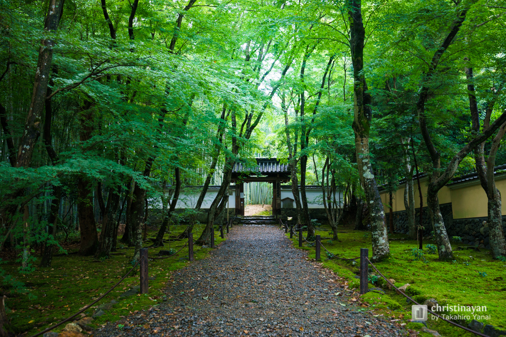 Exterior view of Jizoin Temple (地藏院)