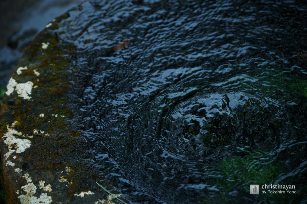 Exterior view of Youkoukan Garden (養浩館庭園)