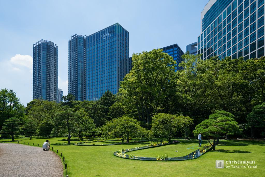 Hamarikyu Park, Pavilion Tokyo, Suimei (浜離宮恩賜庭園　パビリオン・トウキョウ2021　水明)