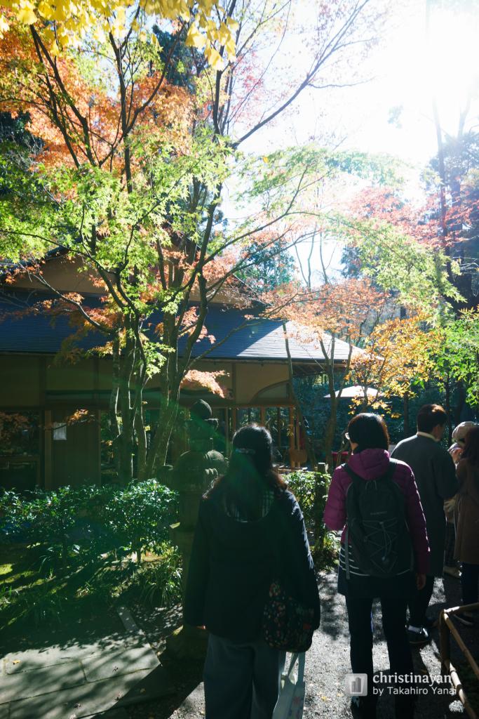 Garden of Meigetsu-in (福源山 明月院)