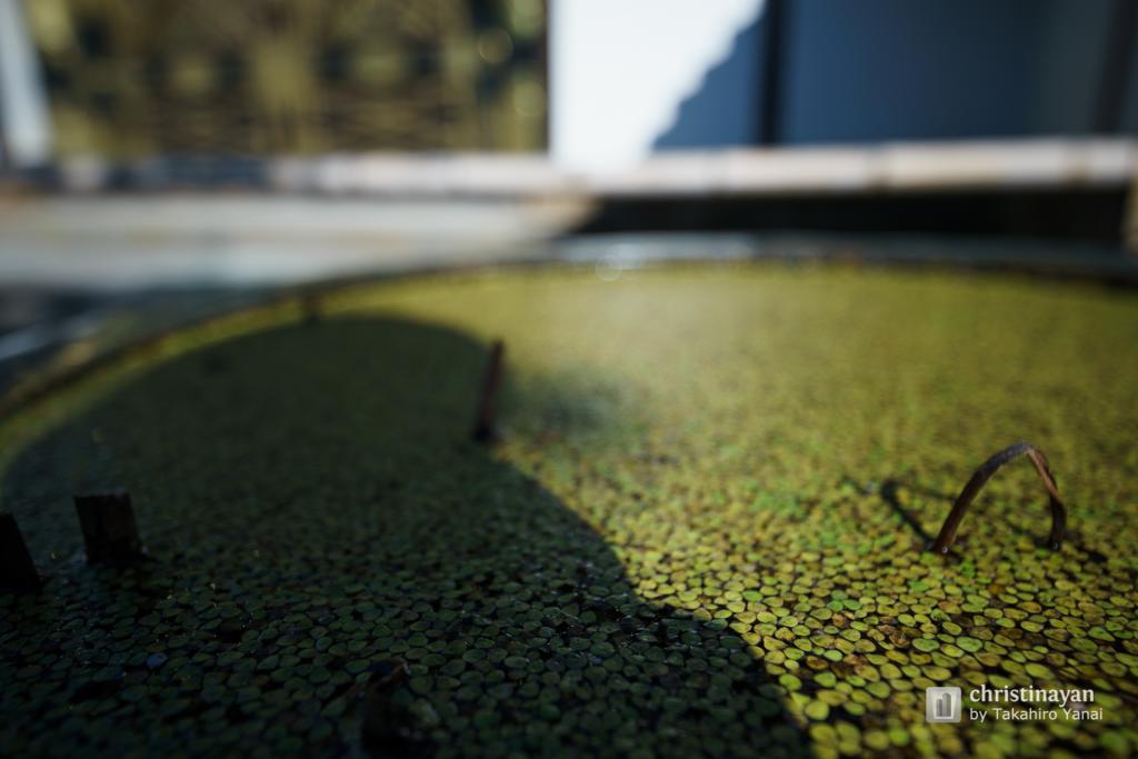 Exterior view of  of Kenchoji Temple (建長寺)