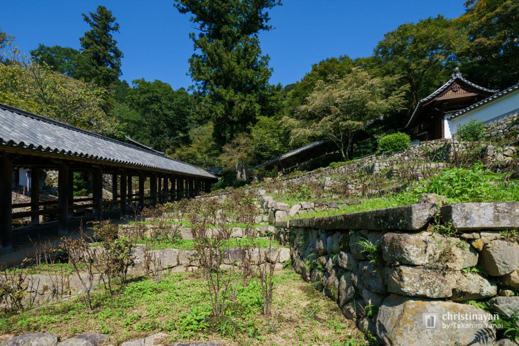 Exterior view of Hasedera Temple, Noboriro (長谷寺 登廊)