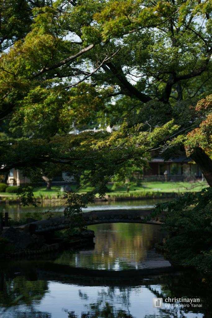 Garden of Higo-Hosokawa Garden (肥後細川庭園)