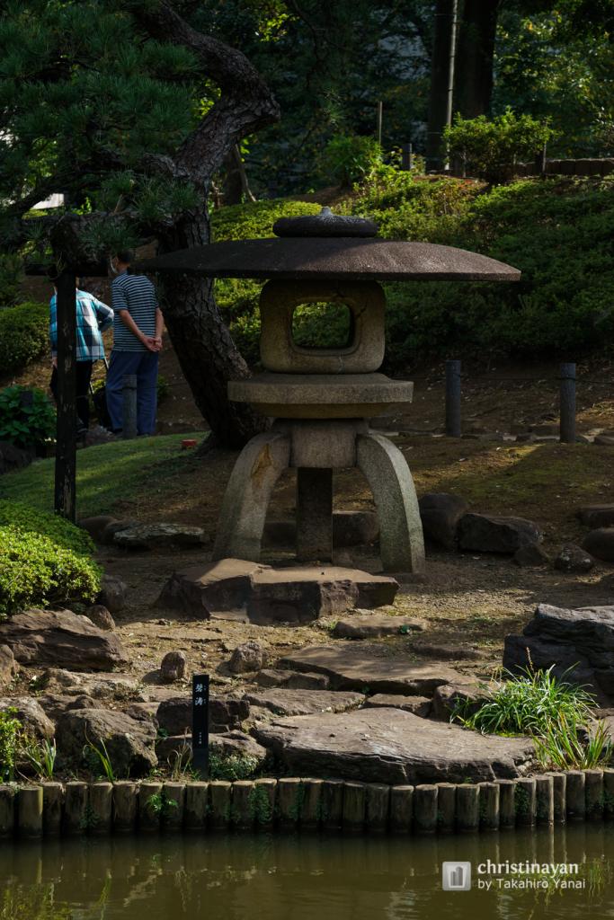 Garden of Higo-Hosokawa Garden (肥後細川庭園)