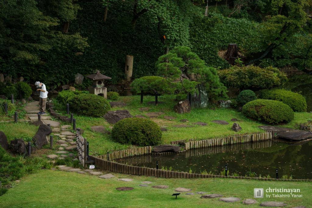 Garden of Higo-Hosokawa Garden (肥後細川庭園)