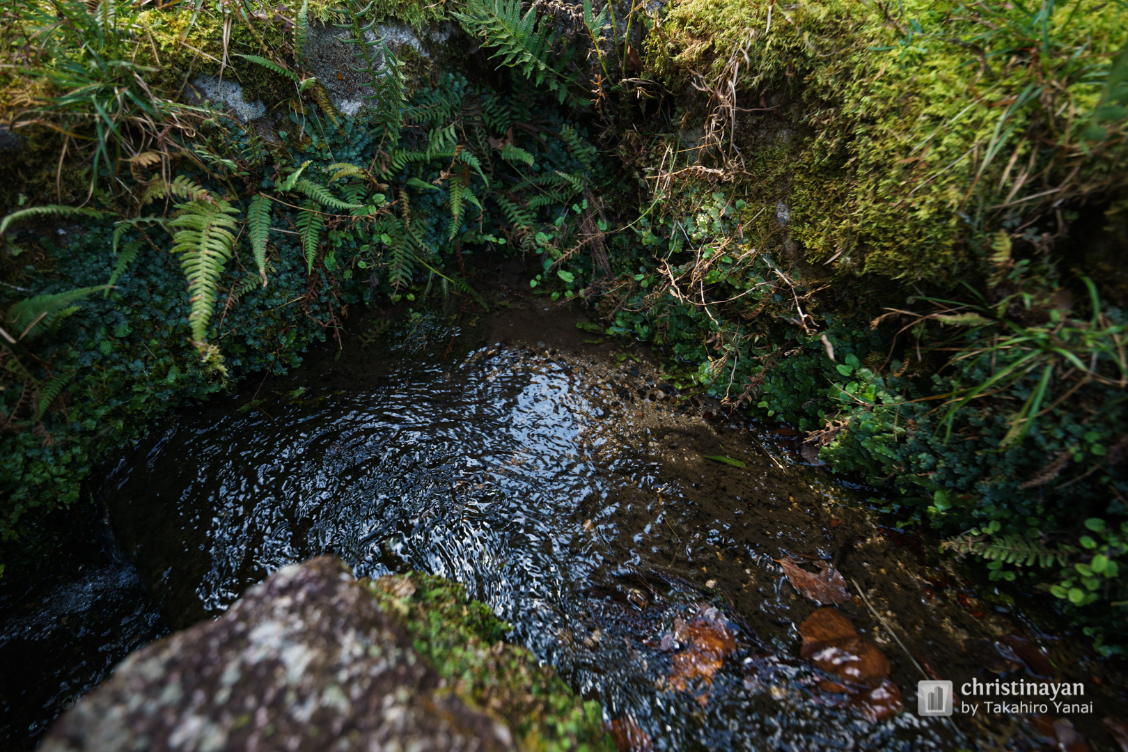 Exterior view of Hiyoshitaisha Shrine, Jugegu (日吉大社 樹下宮)