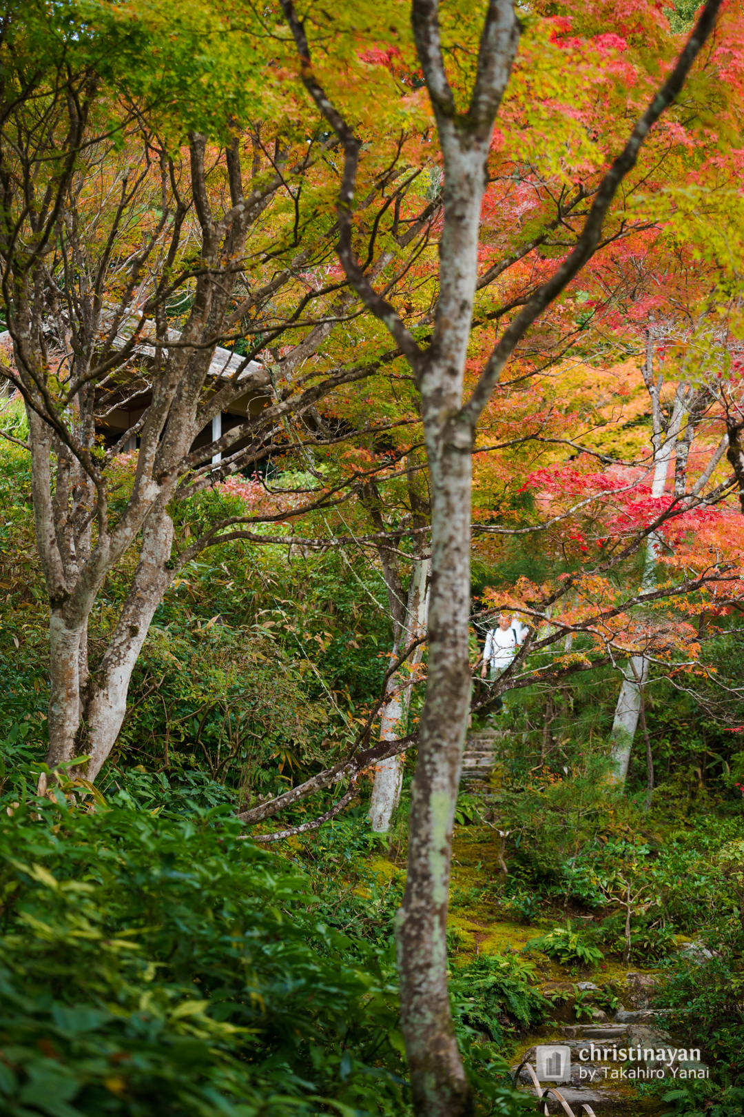 Exterior view of Kodaiji Temple, Gekkatei (高台寺 月香亭)