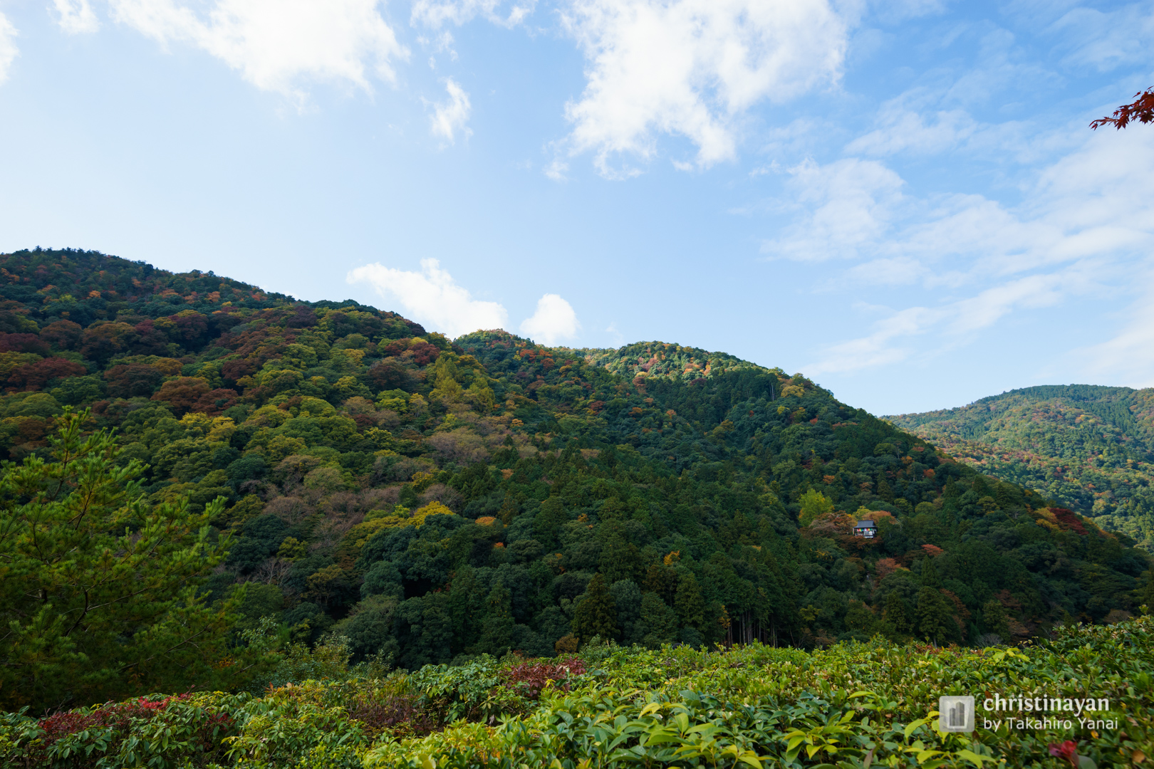 Full view of Senkoji Temple (千光寺)