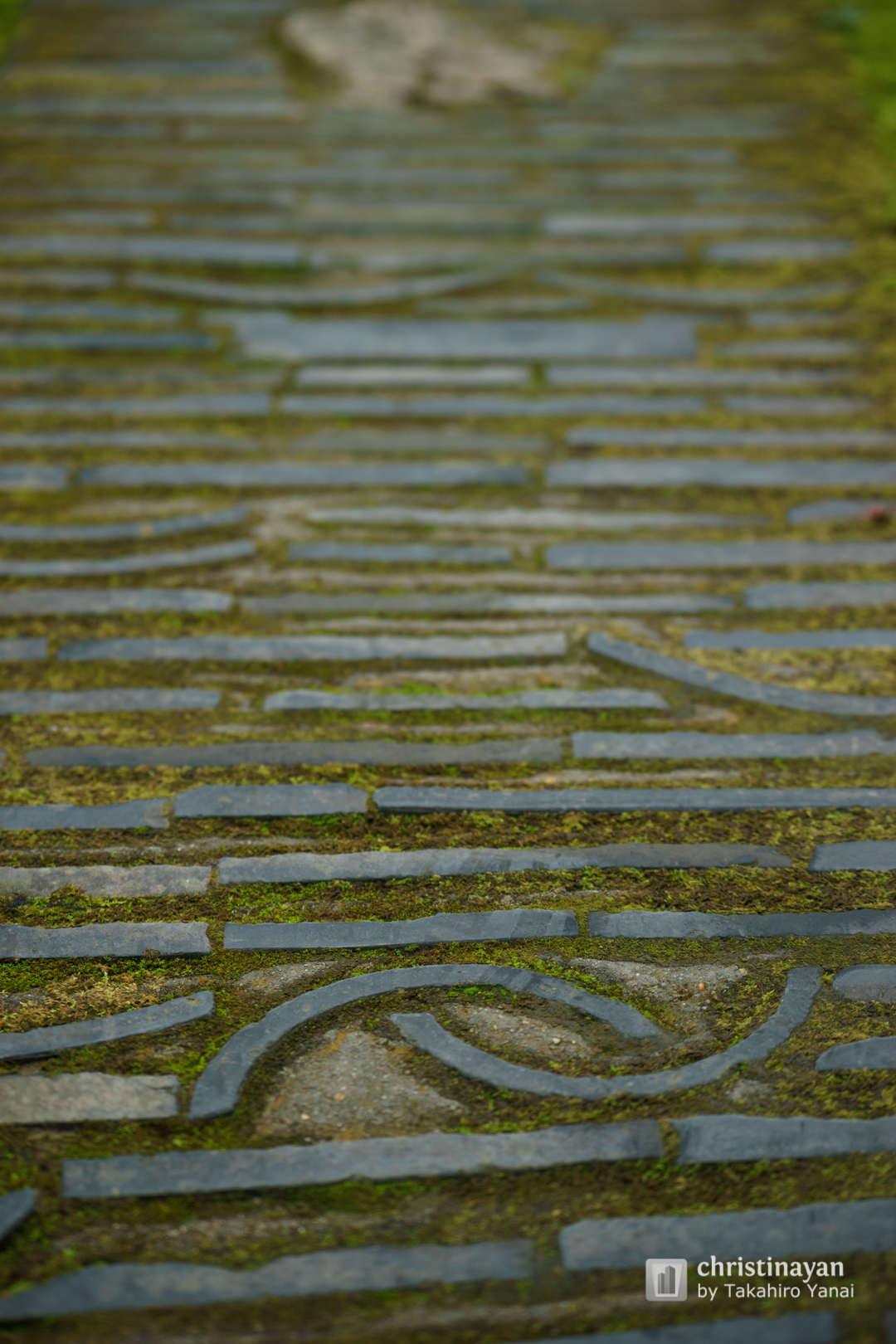 Exterior view of Okochi-Sanso (大河内山荘)