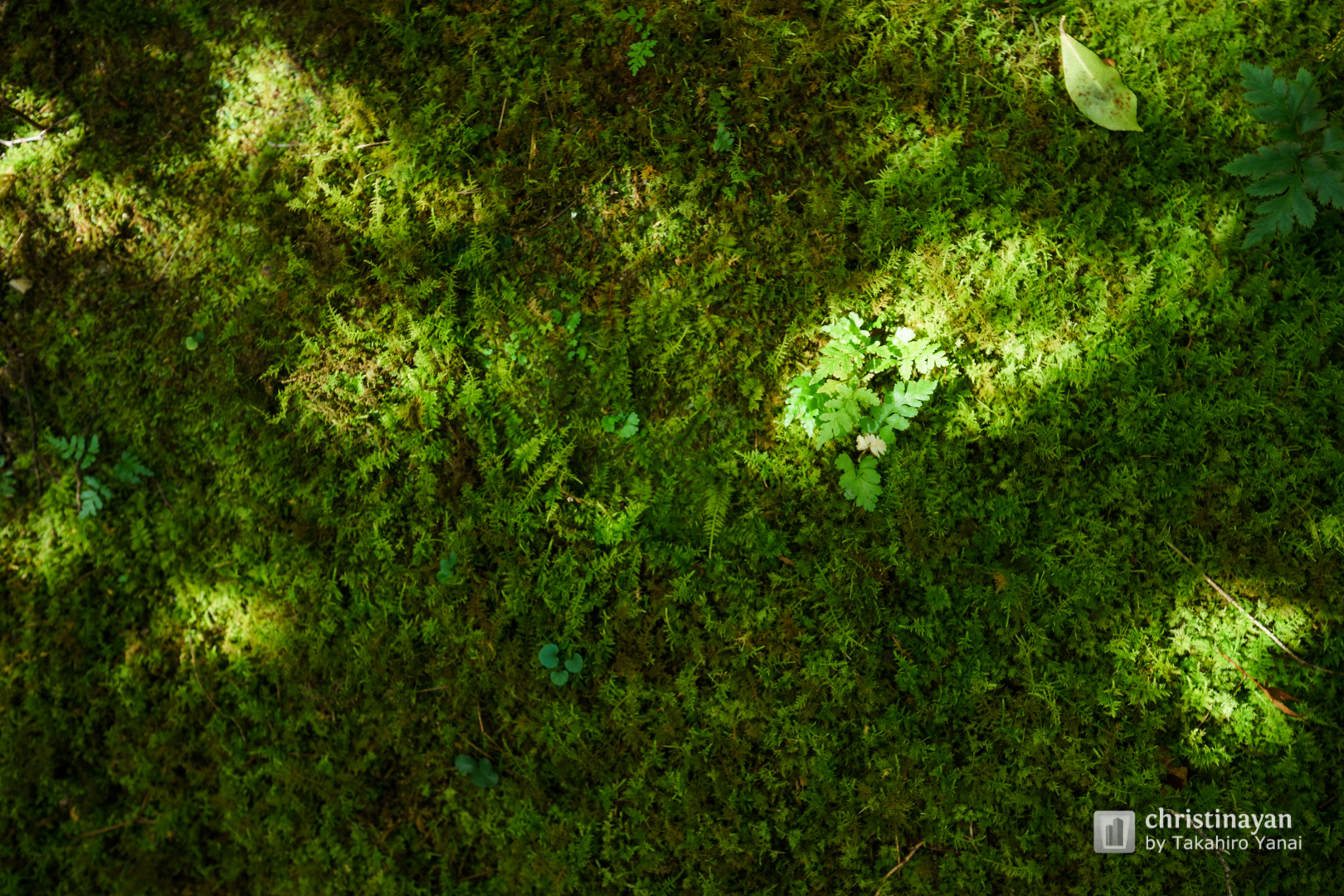 Exterior view of Okochi-Sanso (大河内山荘)