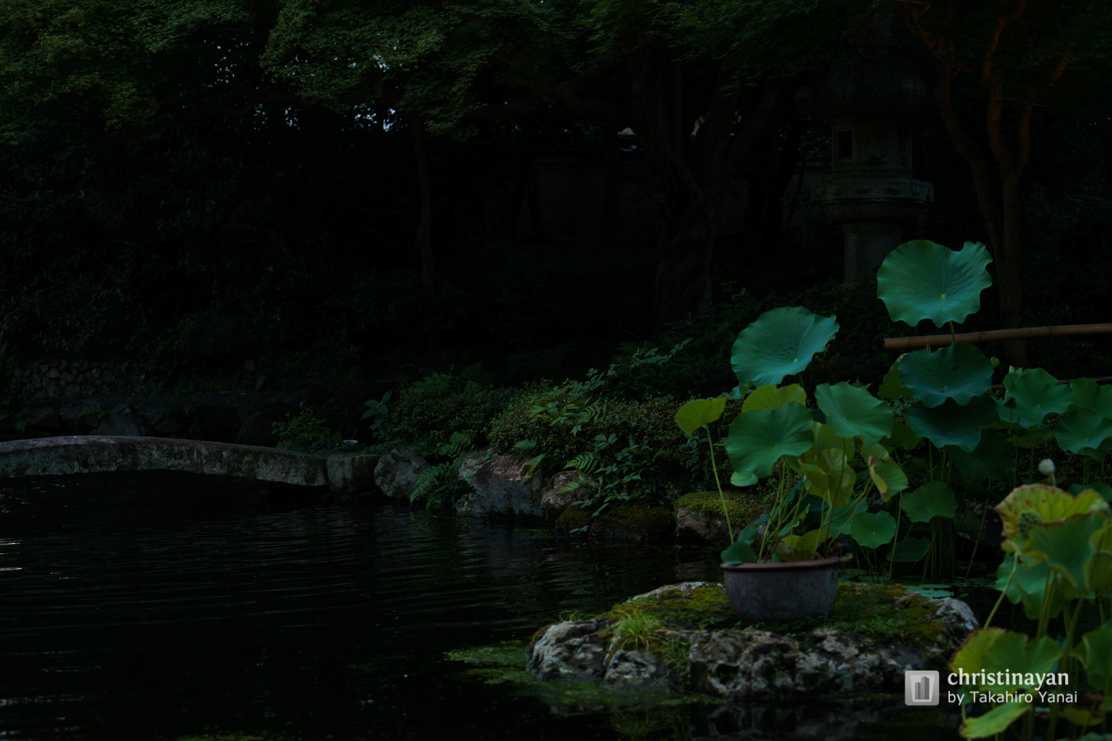 Exterior view of Old Mitsui Family Shimogamo Villa (旧三井家下鴨別邸)