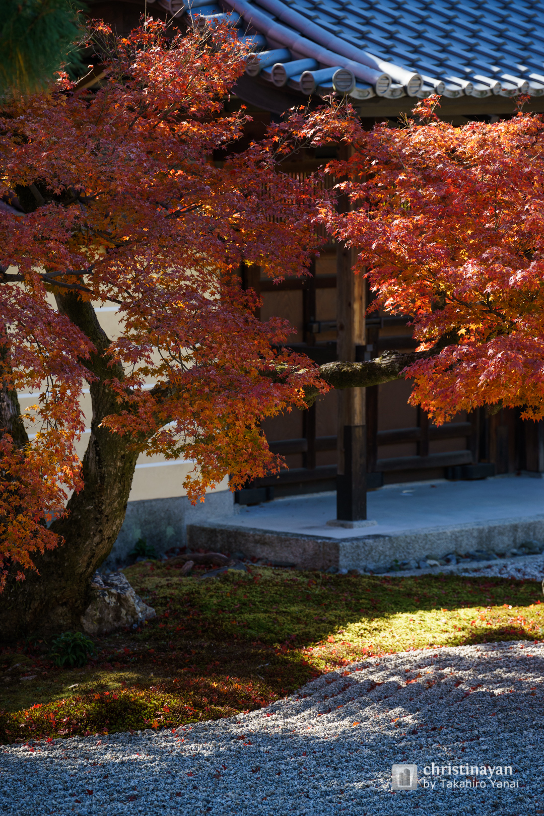 Exterior view of Tohjiin Temple (等持院)