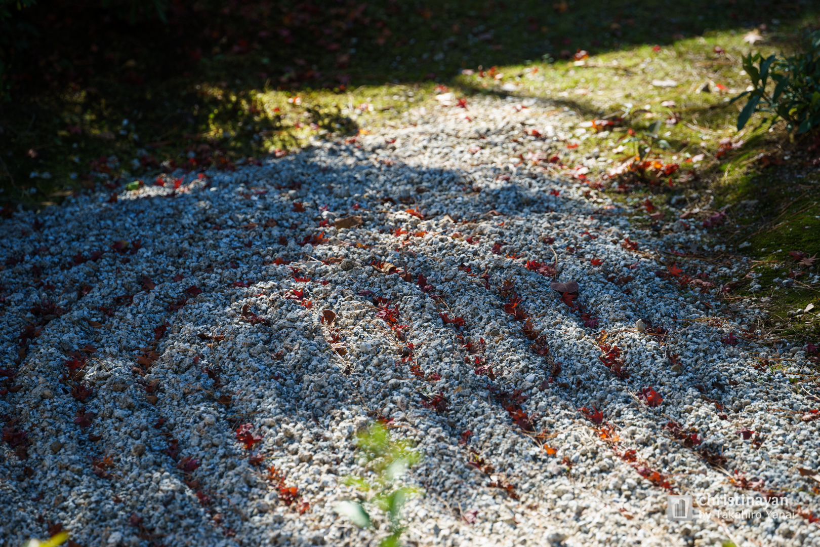 Exterior view of Tohjiin Temple (等持院)