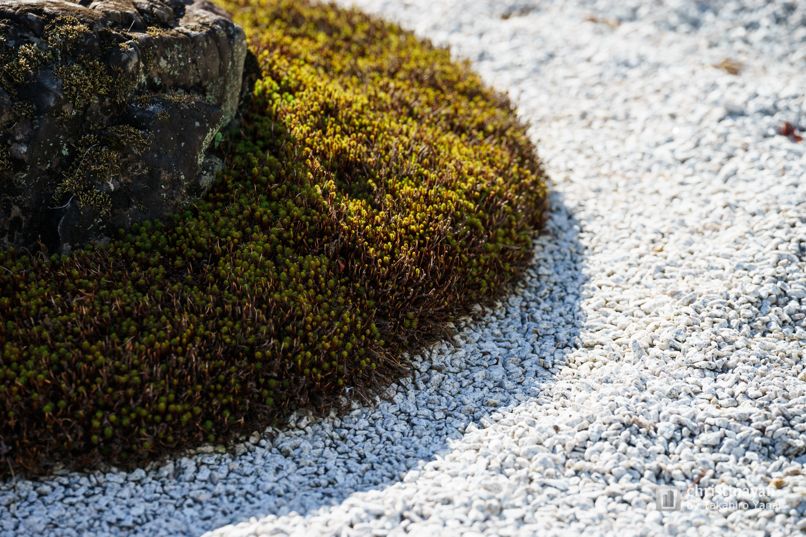 Exterior view of Ninnaji Temple (仁和寺)