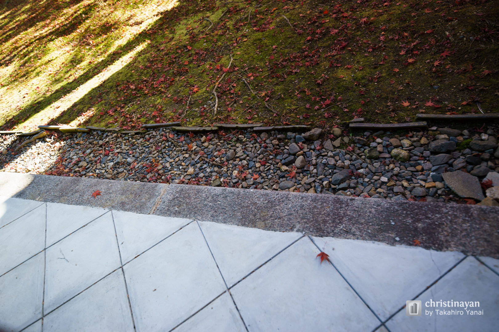 Exterior view of Ninnaji Temple, Goten (仁和寺　御殿)