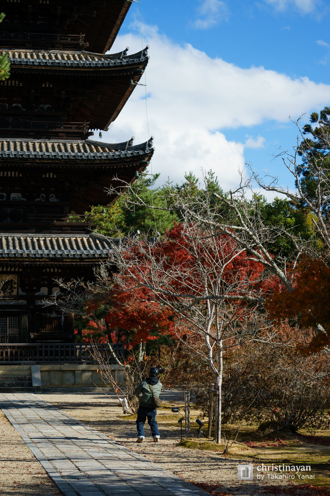 Exterior view of Ninnaji Temple, Pagoda (仁和寺　五重塔)