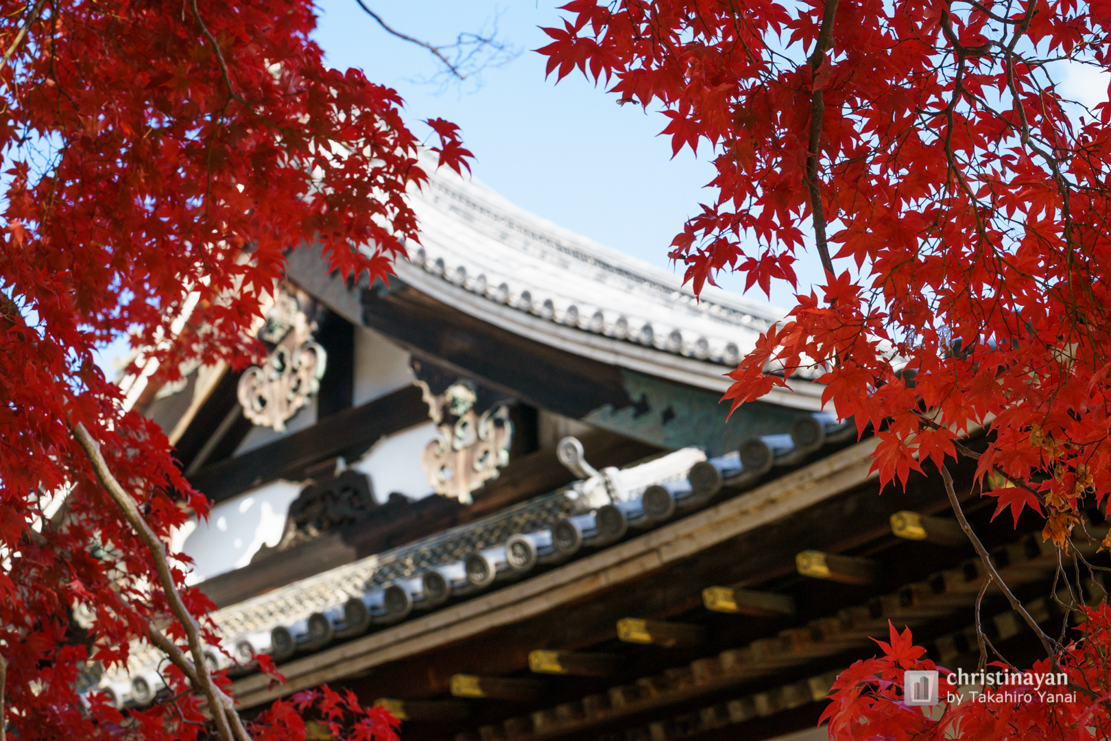 Exterior view of Ninnaji Temple, Kannondo (仁和寺　観音堂)