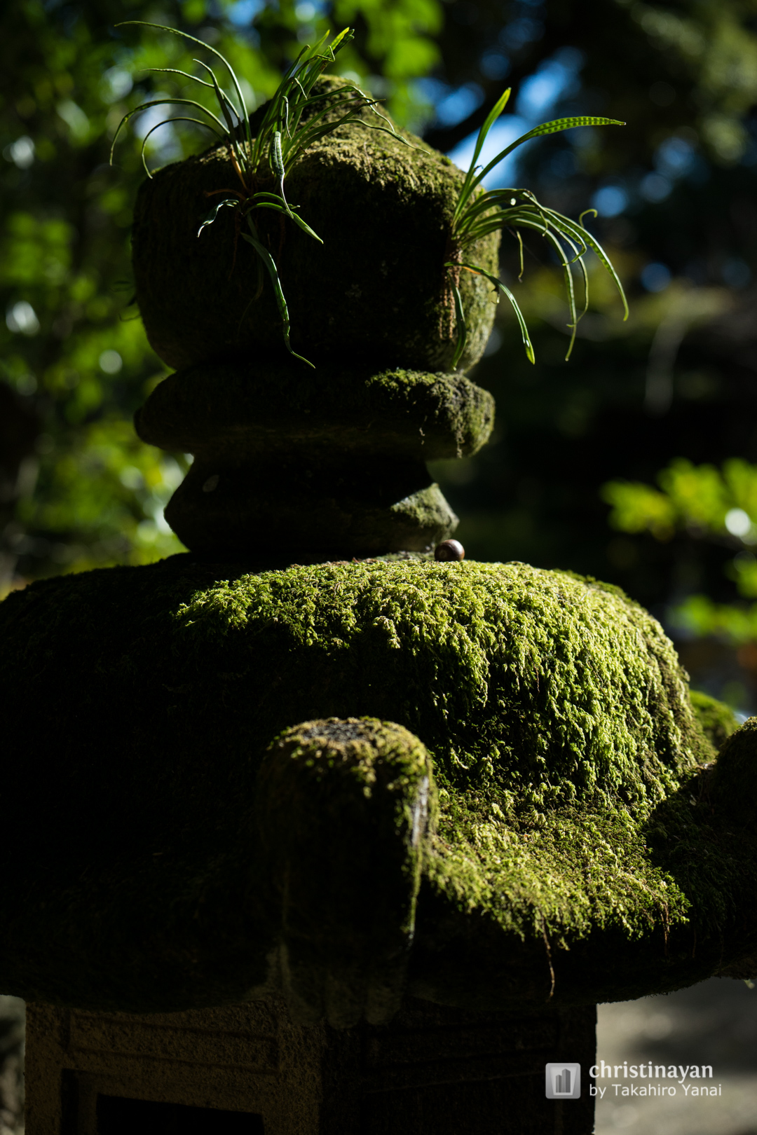 Exterior view of Kiyoshikojin Temple (清荒神清澄寺)