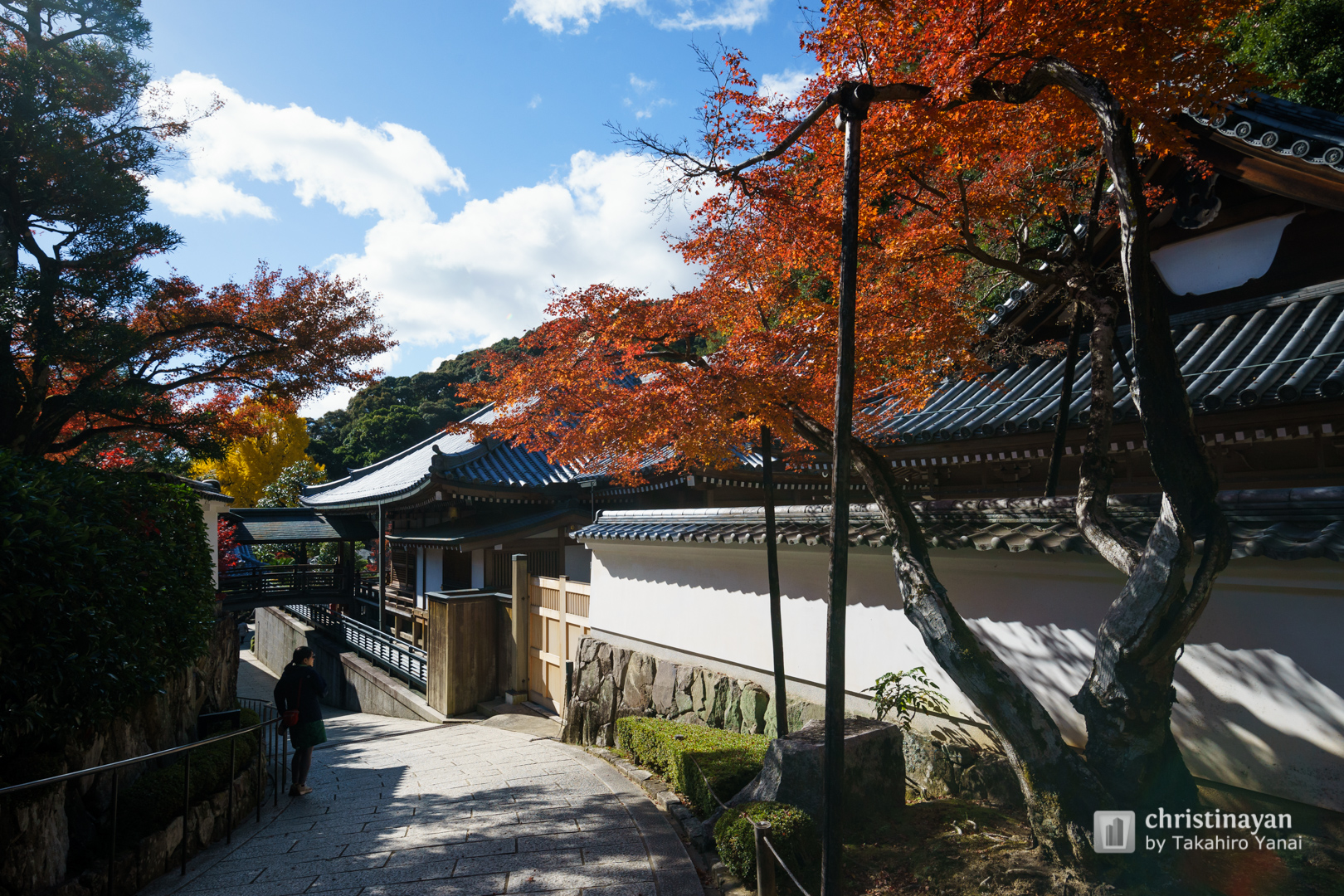Exterior view of Kiyoshikojin Temple (清荒神清澄寺)