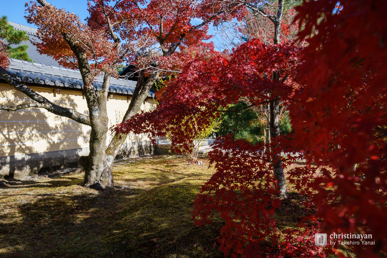 Exterior view of Tohjiin Temple (等持院)