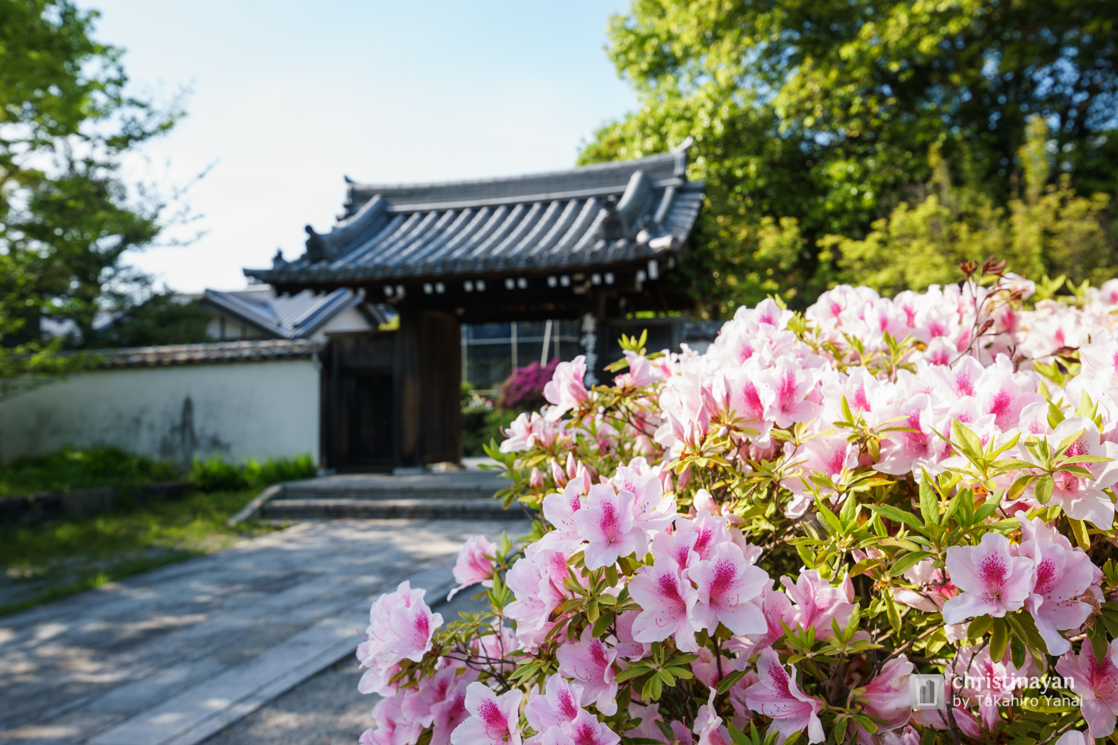 Exterior view of Yashimaji Temple (屋島寺)
