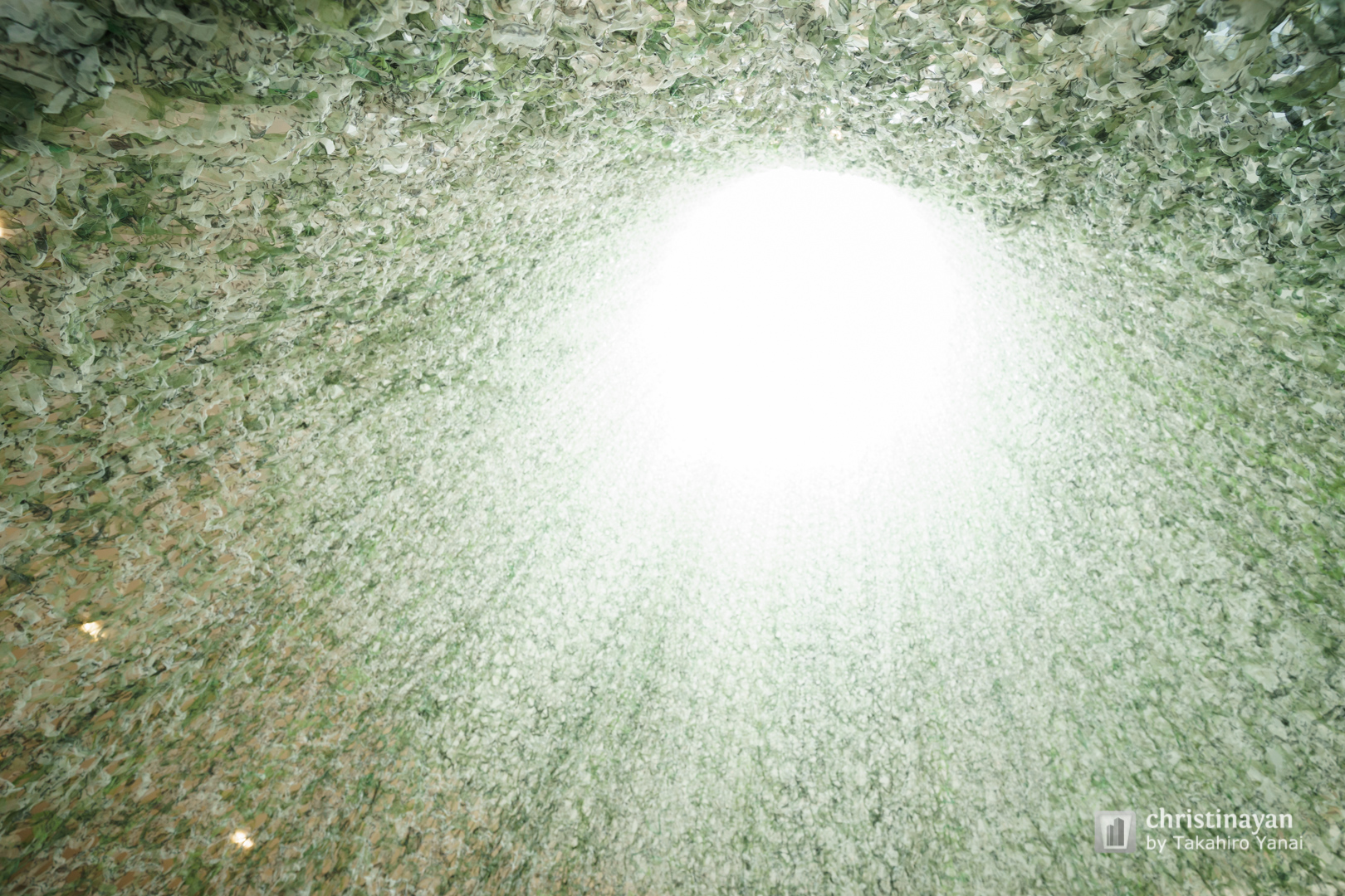 Interior view of Minakata Kumagusu Museum (南方熊楠記念館)