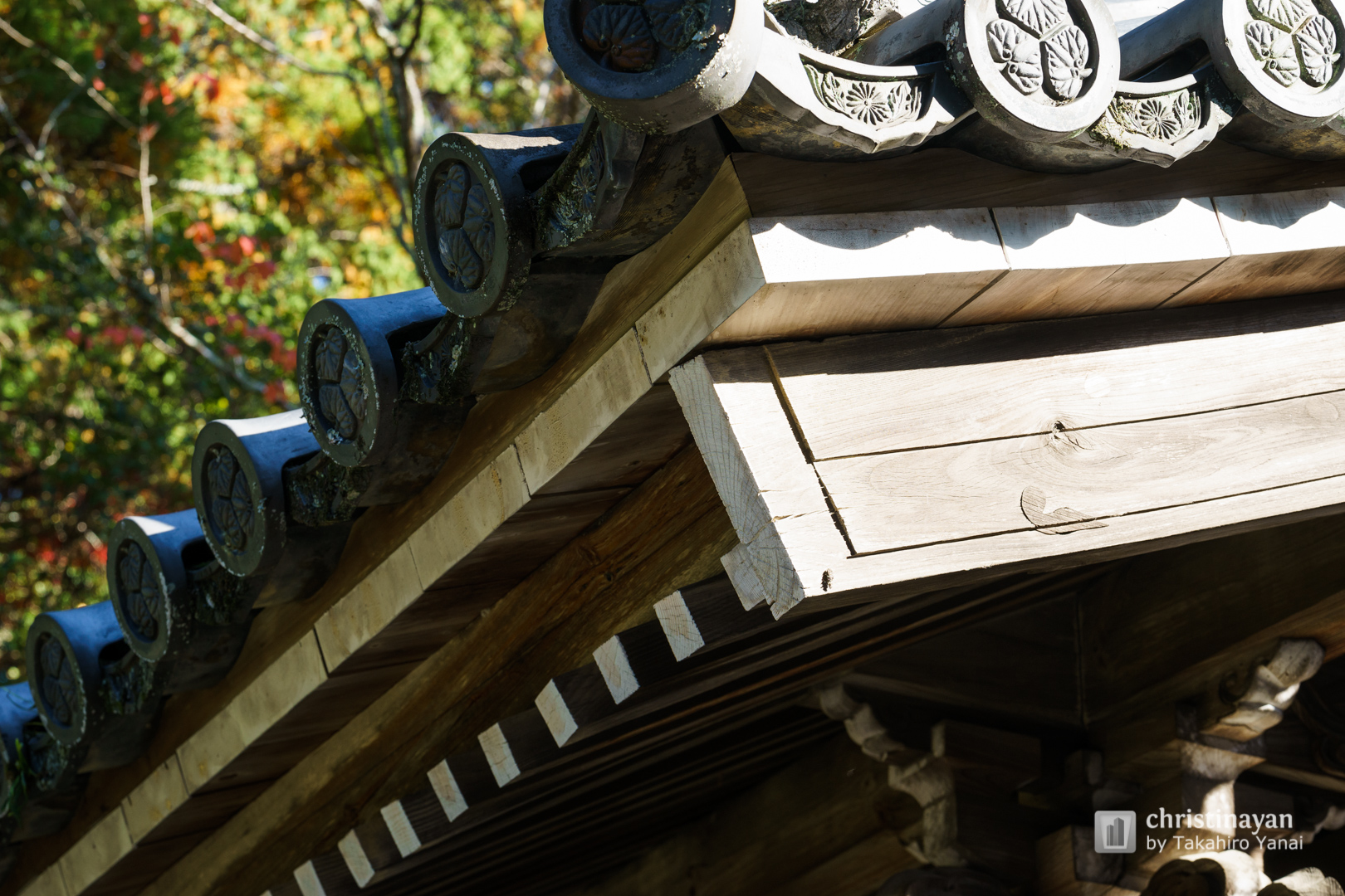 Exterior view of Tada Shrine (多田神社)