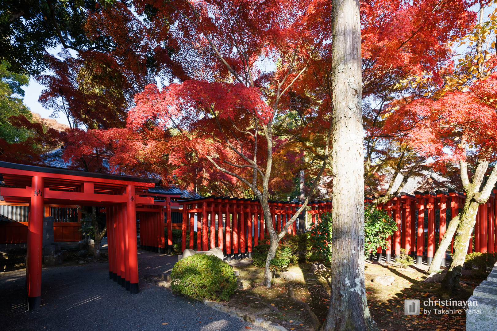 Exterior view of Tada Shrine (多田神社)