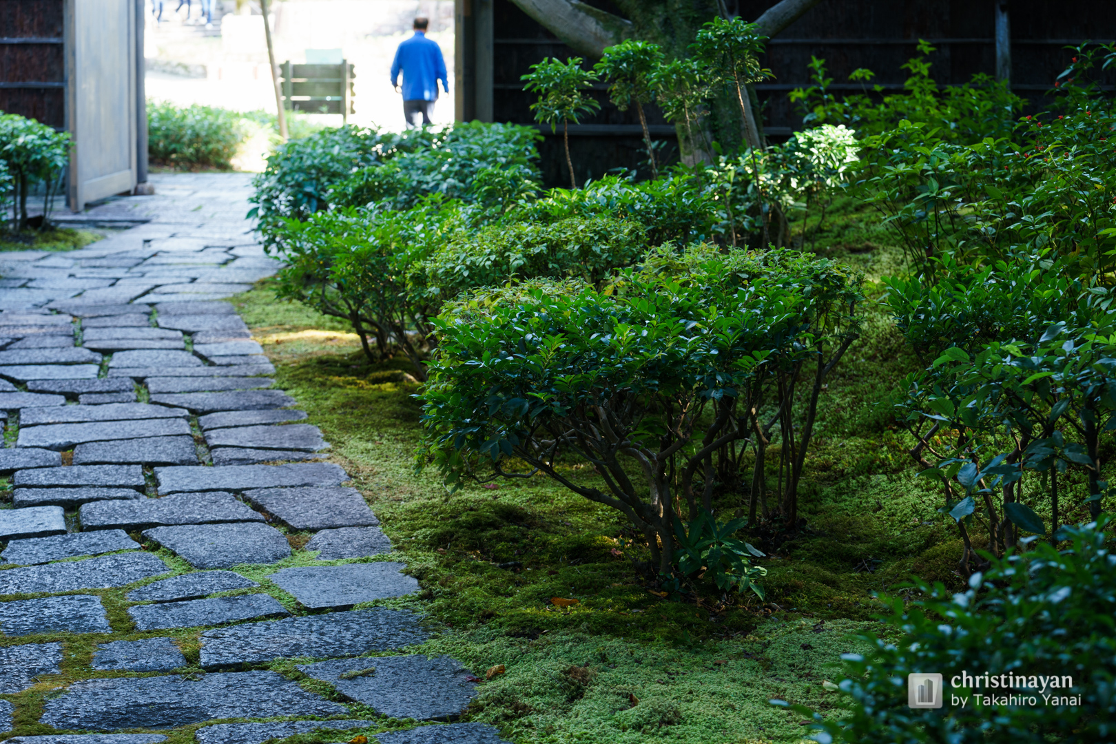 Tea room Han-an (茶室「汎庵・万里庵」)