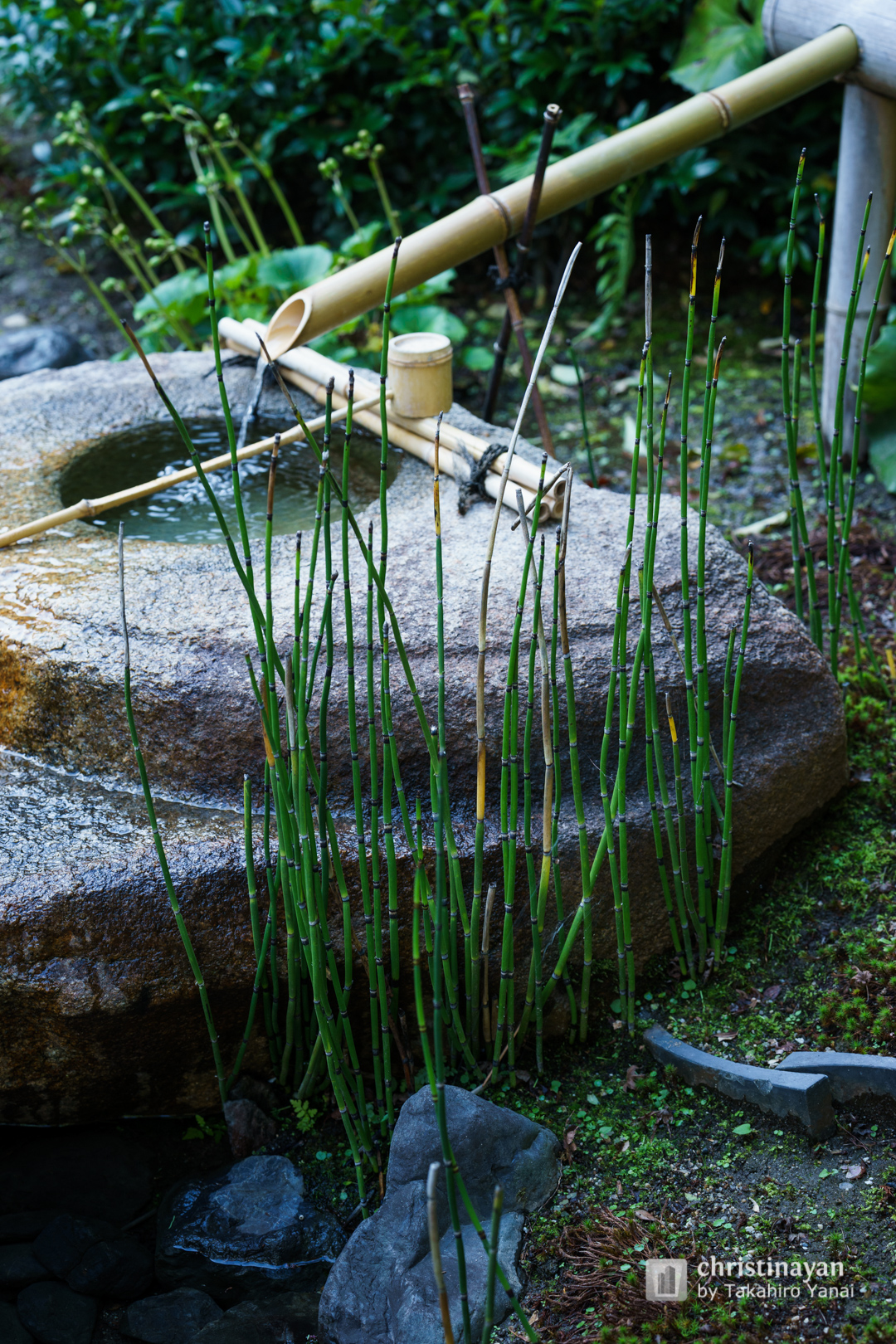 Tea room Han-an (茶室「汎庵・万里庵」)