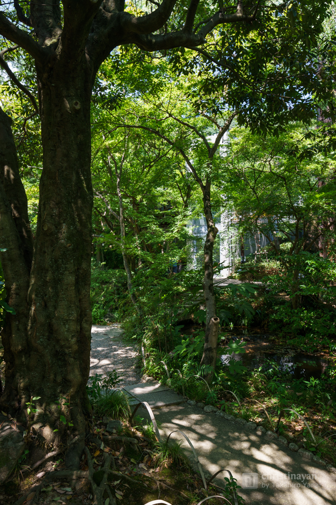 Asahi Beer Oyamazaki Villa Museum Of Art (アサヒビール大山崎山荘美術館)