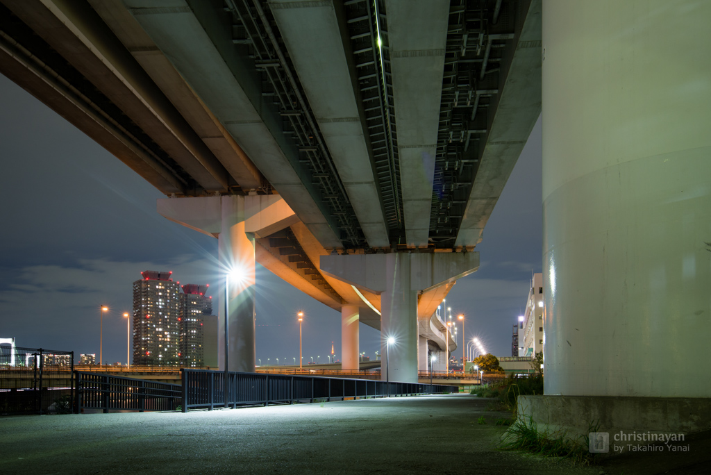 Ariake Junction (有明ジャンクション)