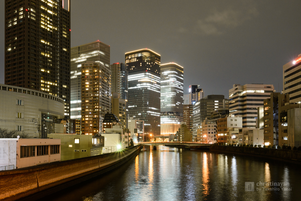 Full view of Nakanoshima Festival Tower West (中之島フェスティバルタワー・ウエスト)