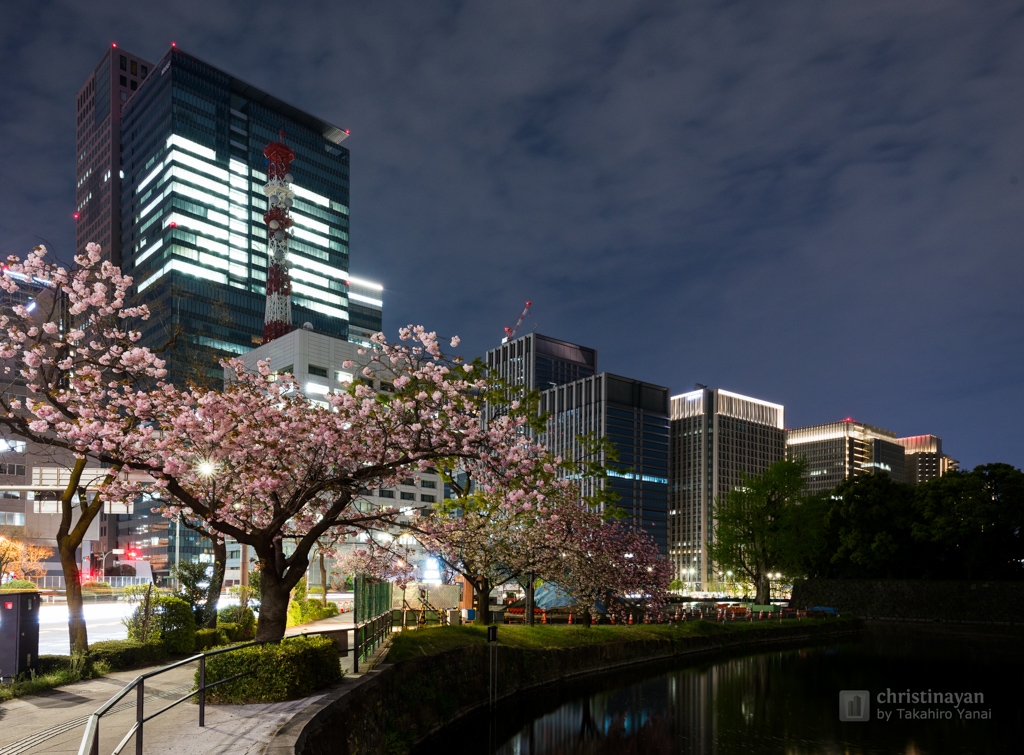 General view of Otemon Tower (大手門タワー)