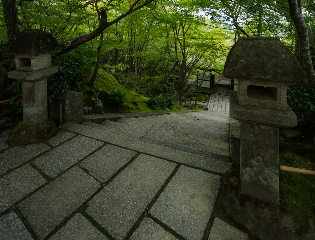 Jojakkoji Temple in garden (常寂光寺)