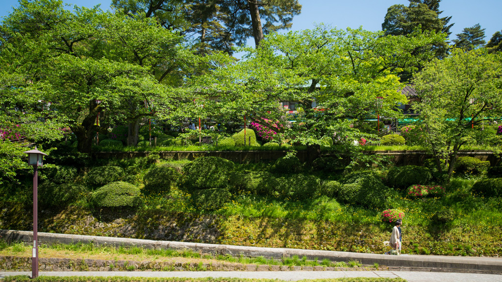 Kenrokuen Garden (兼六園に通じる坂)